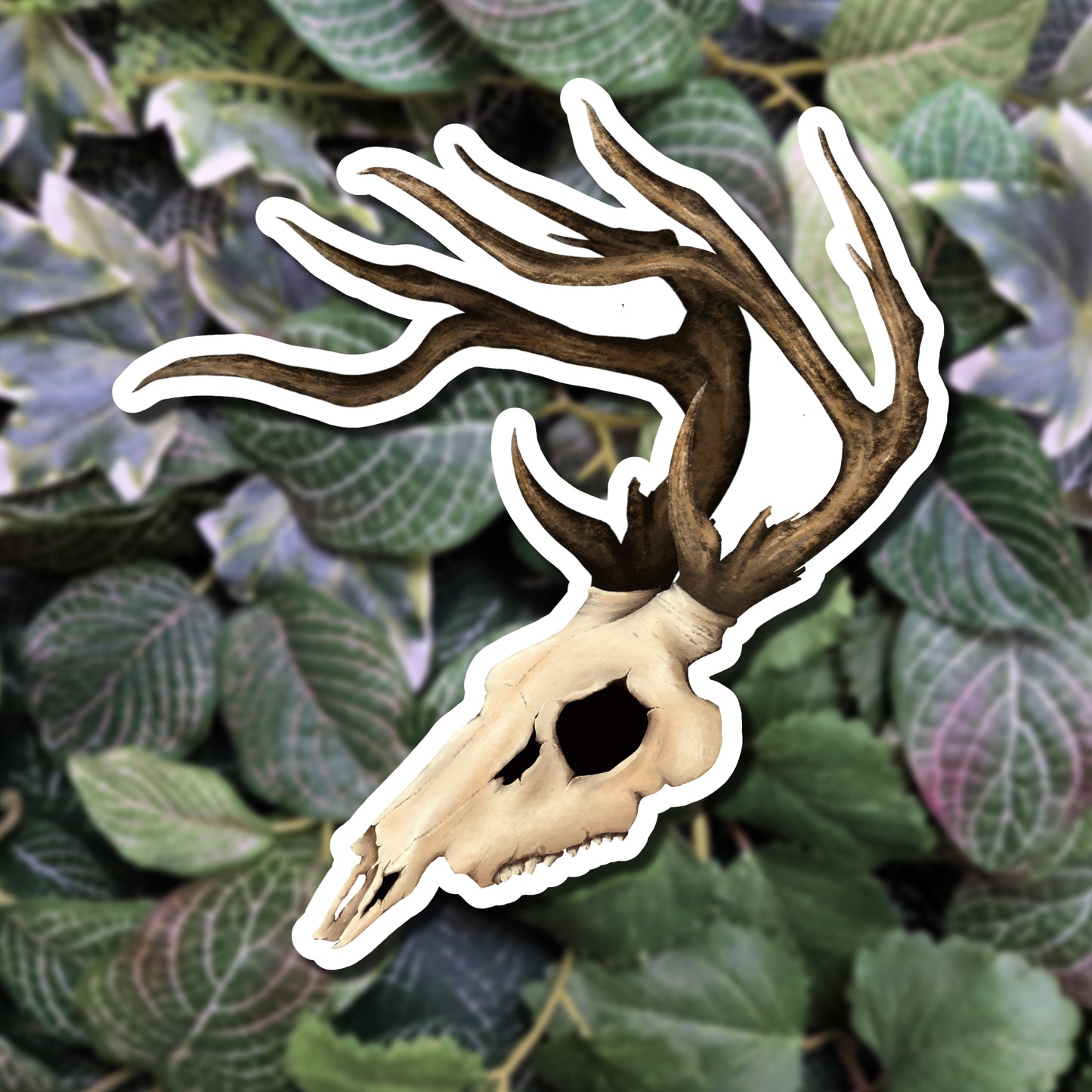 Hirschschädel | Sticker