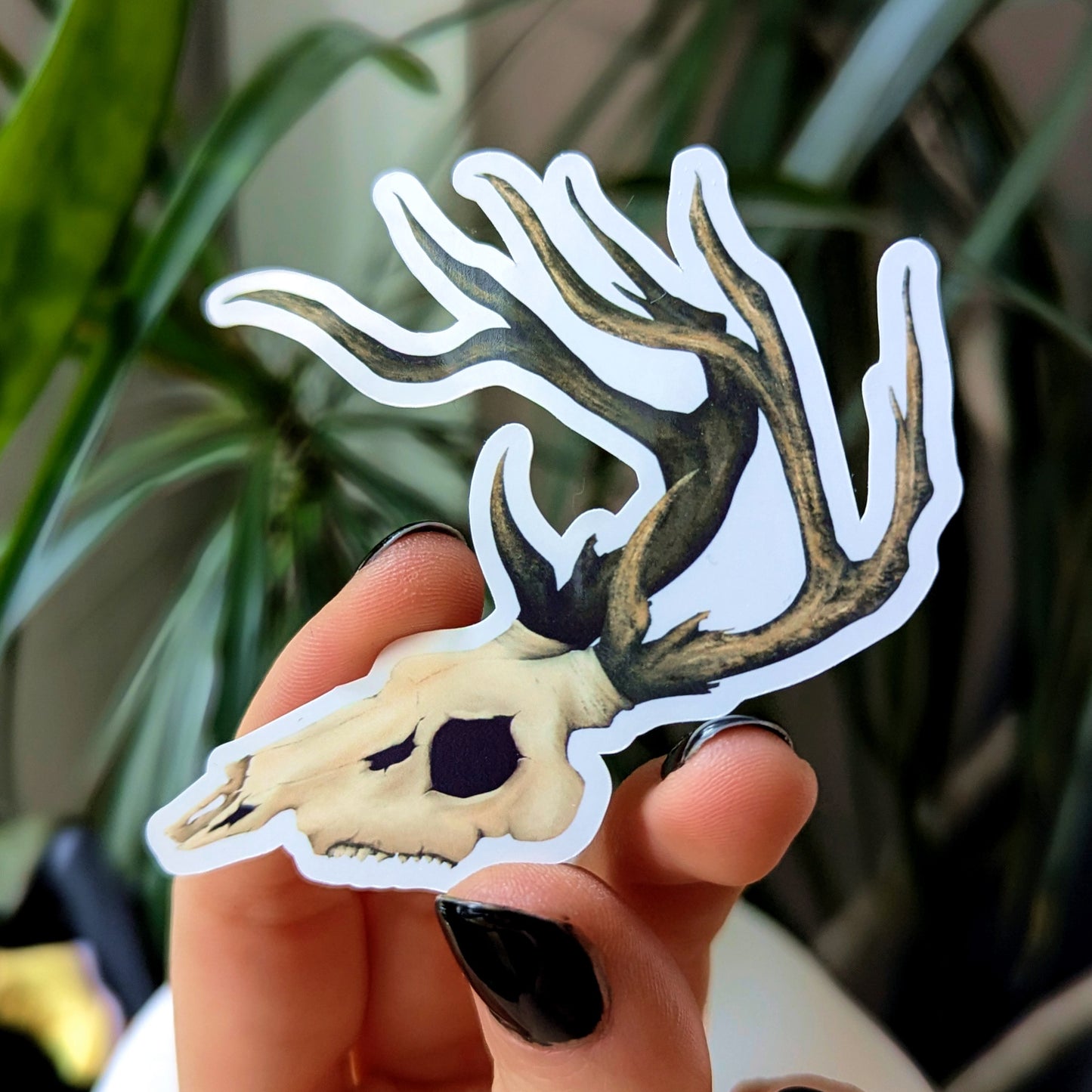 Hirschschädel | Sticker