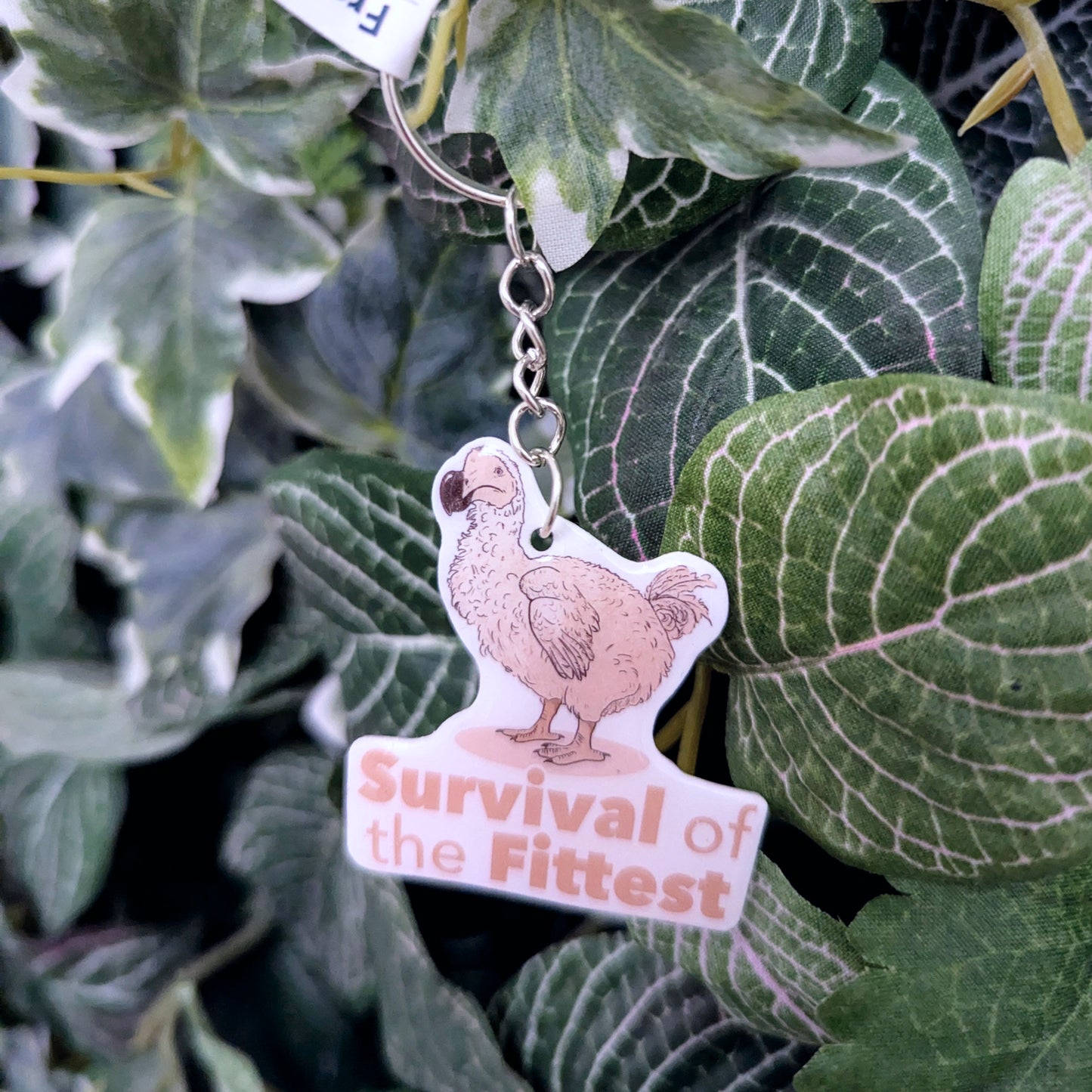 Dodo - Survival of the fittest | Schlüsselanhänger