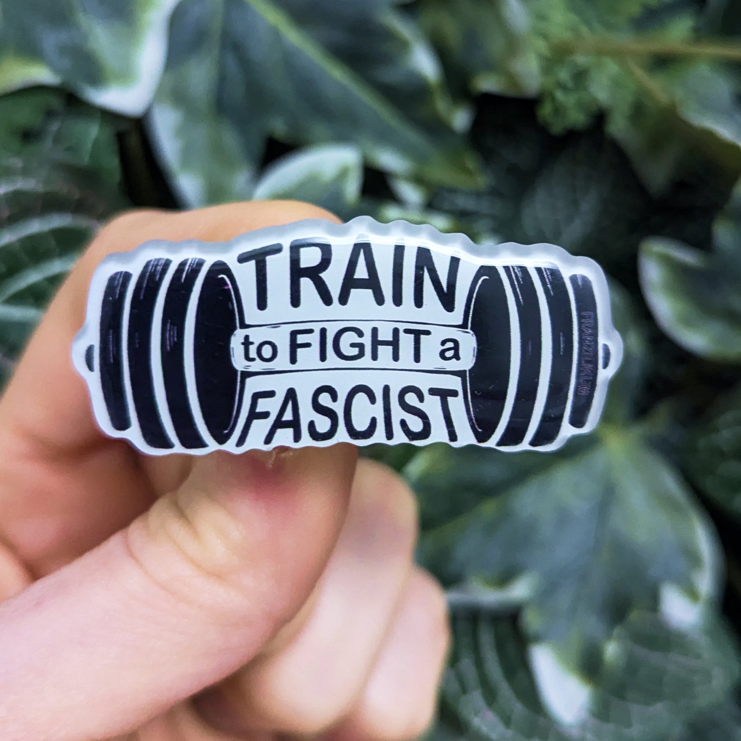 Train to fight a fascist | Pin