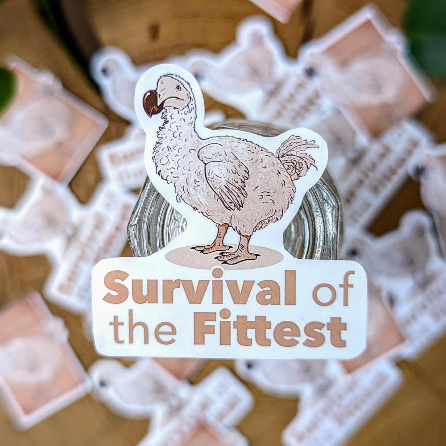 Dodo - Survival of the Fittest | Stickers