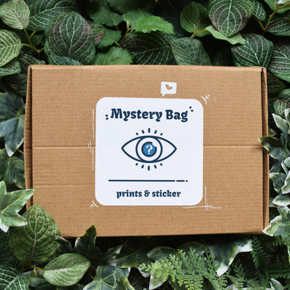 Kunst Mystery Box | Kunstdrucke, Sticker & mehr