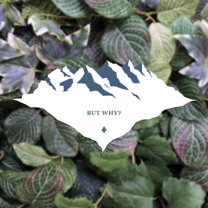 But why? Nihilistic Penguin | Sticker