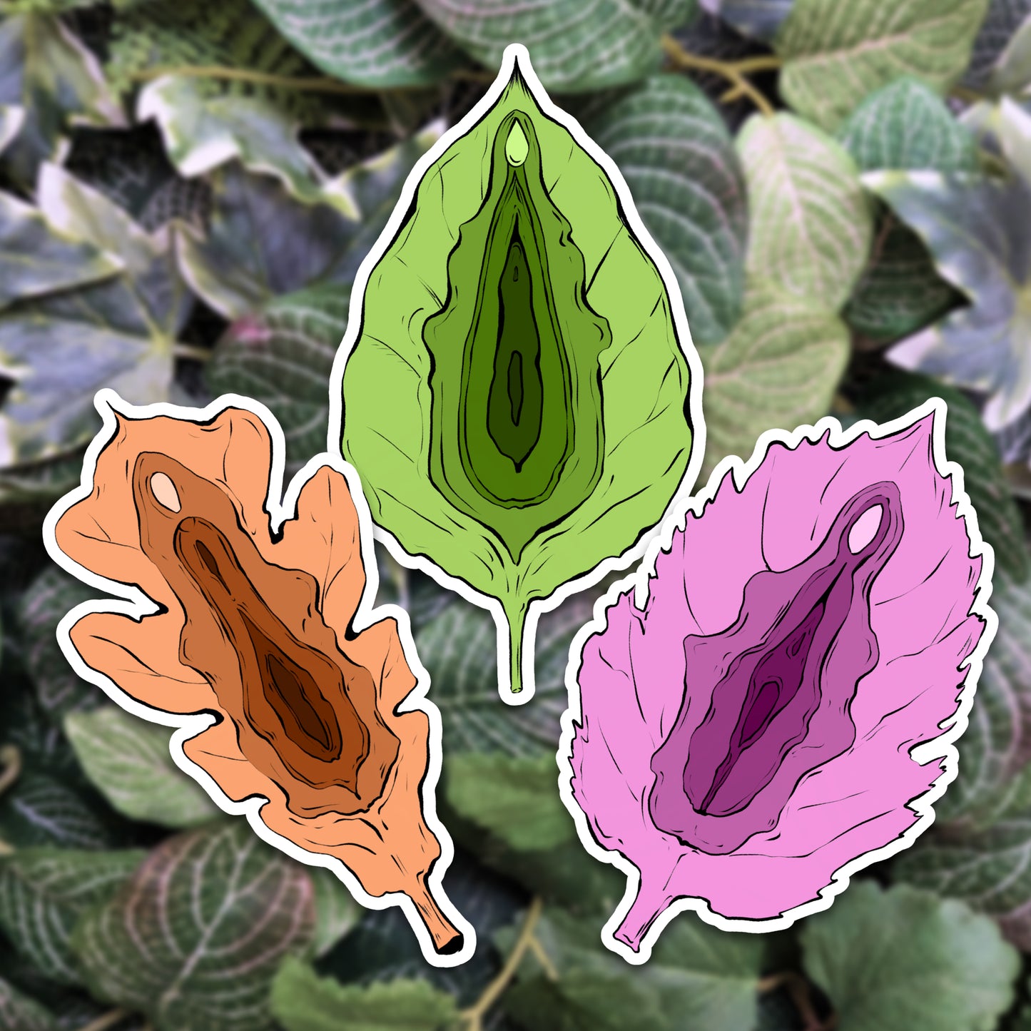 Forms of Nature - Vulvablätter | Sticker