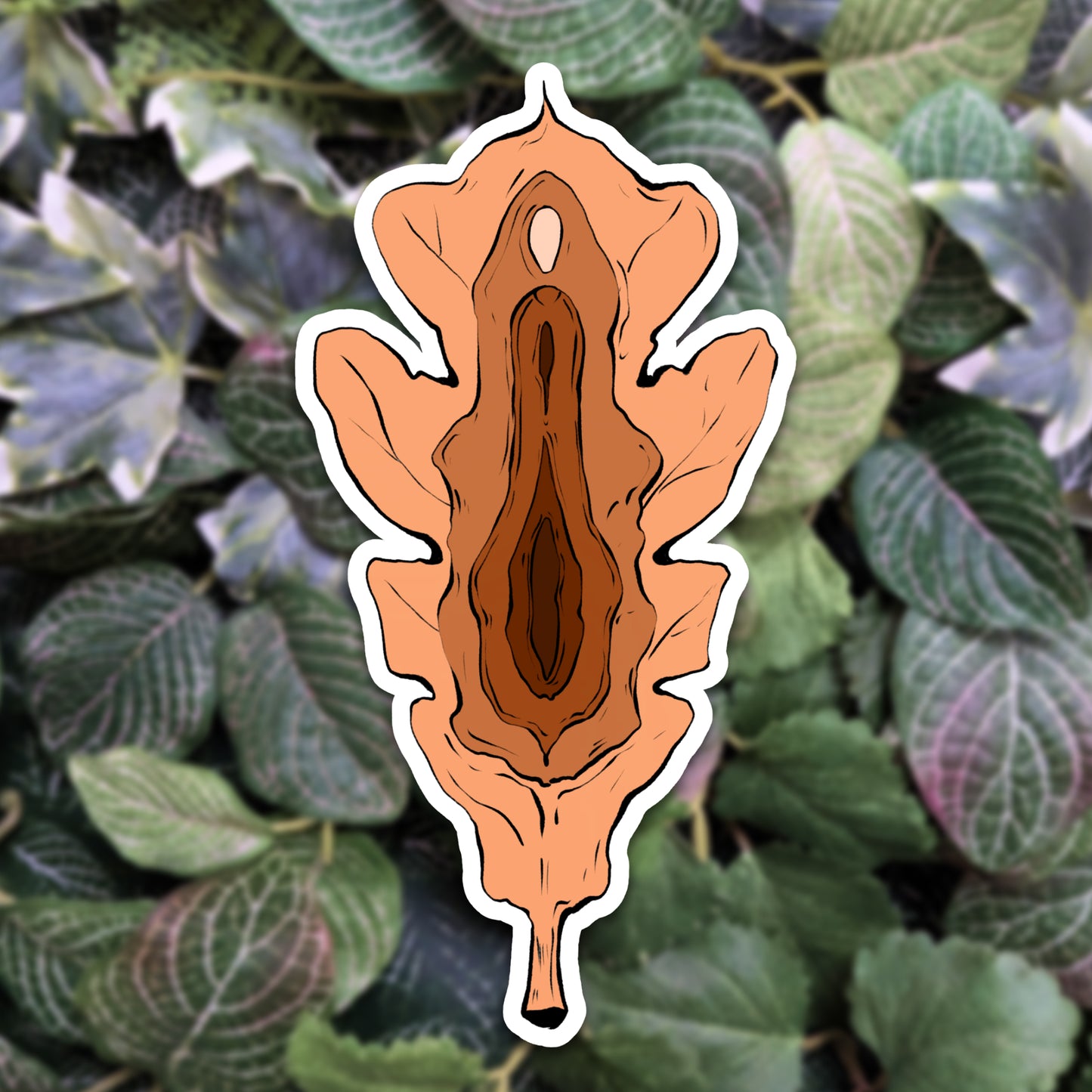 Forms of Nature - Vulvablätter | Sticker