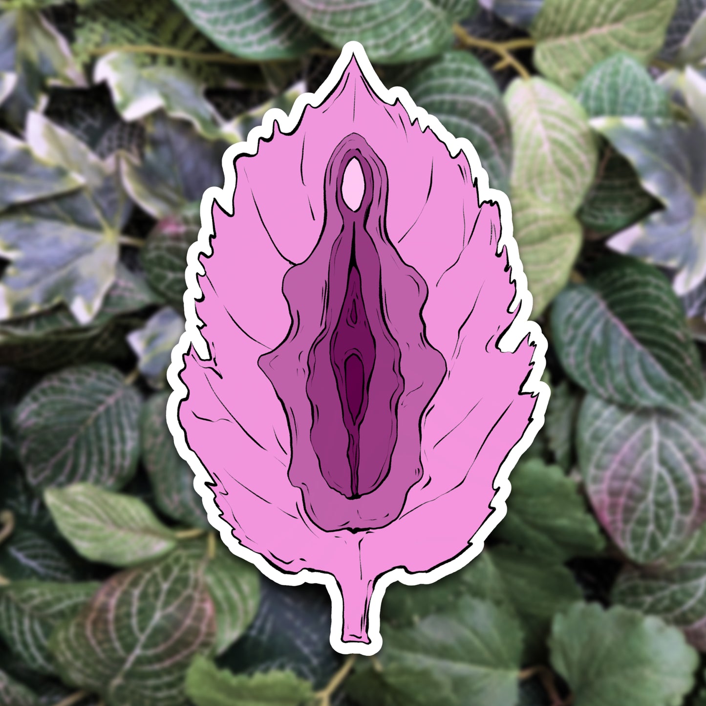 Forms of Nature - Vulvablätter | Sticker