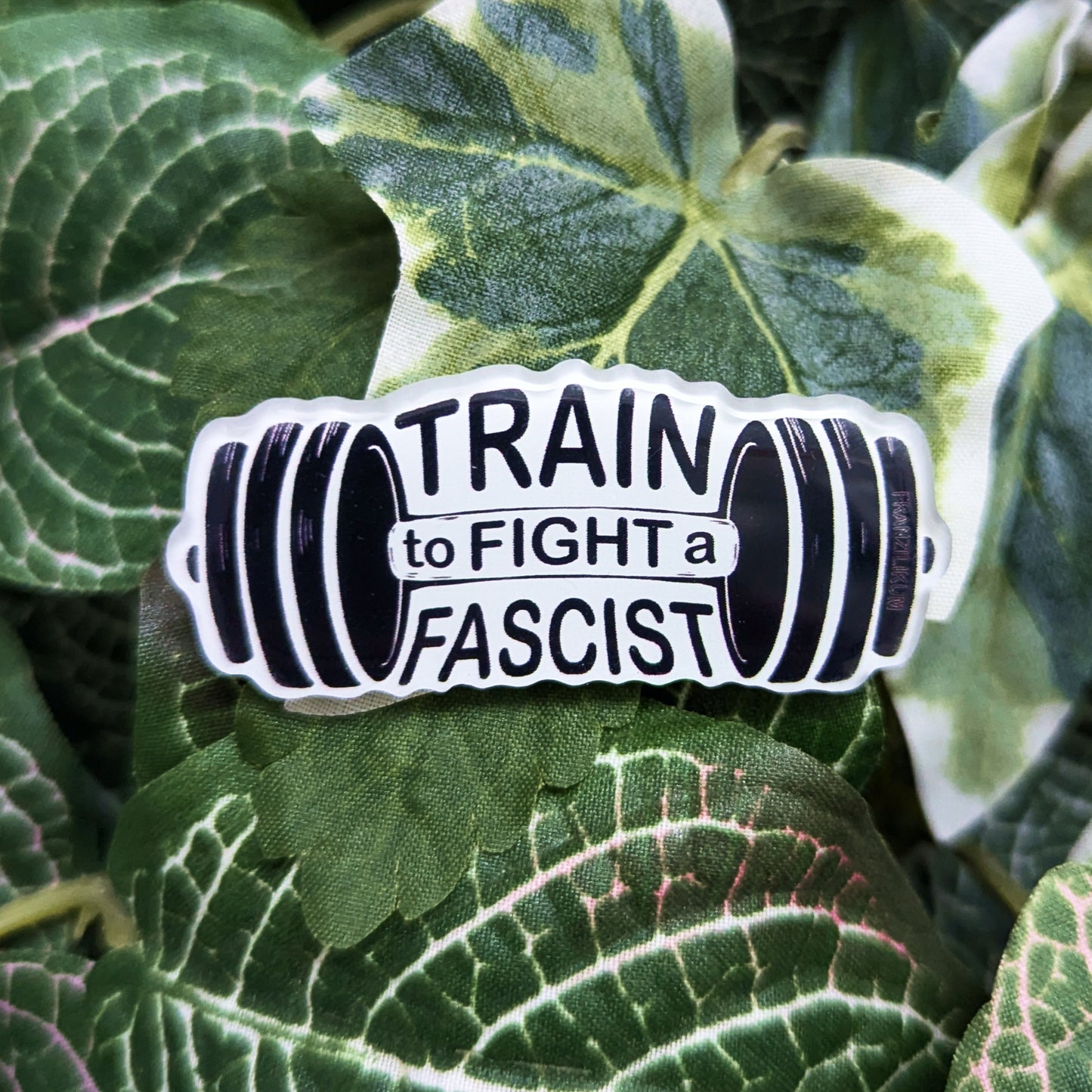 Train to fight a fascist | Pin