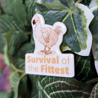 Dodo - Survival of the fittest | Pin