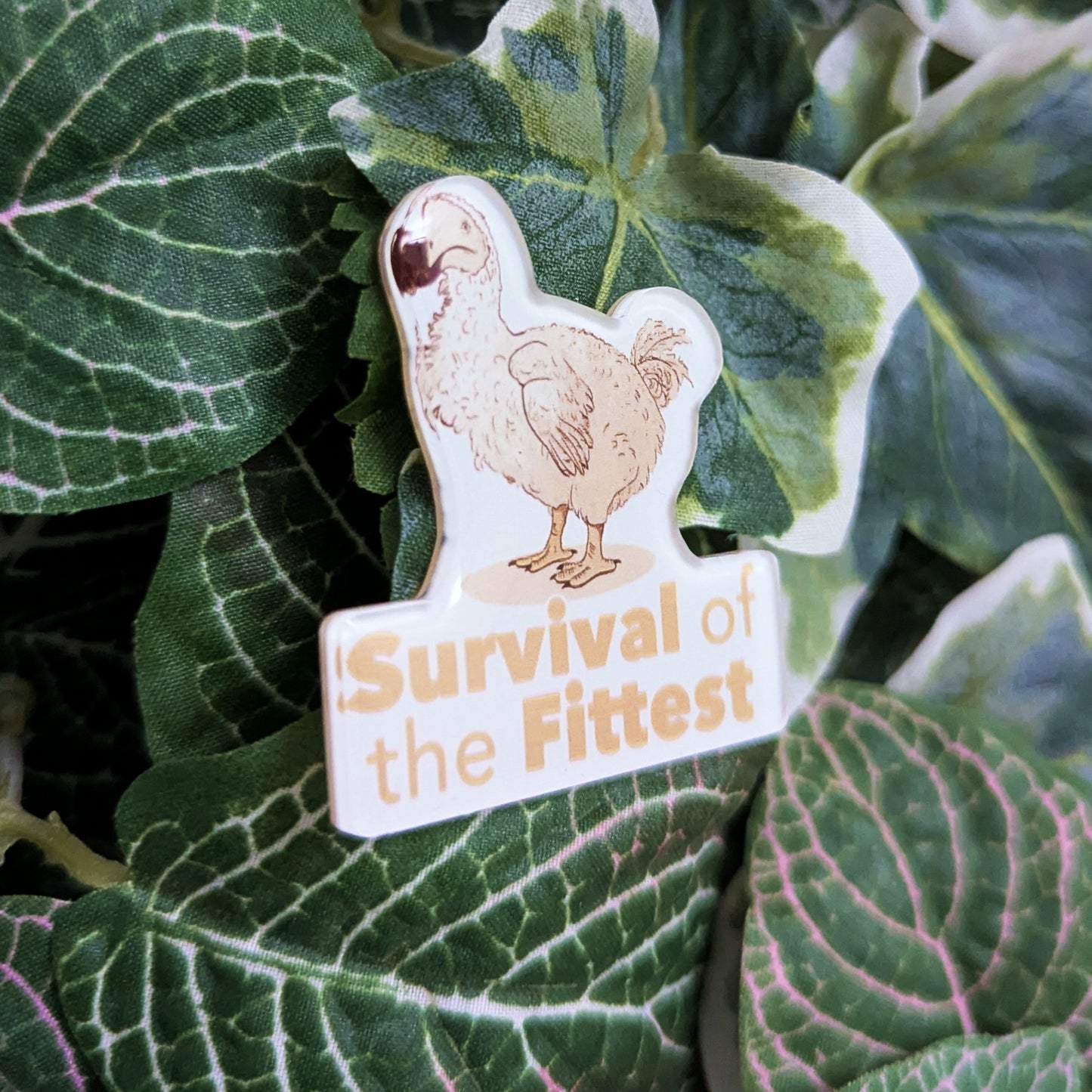 Dodo - Survival of the fittest | Pin