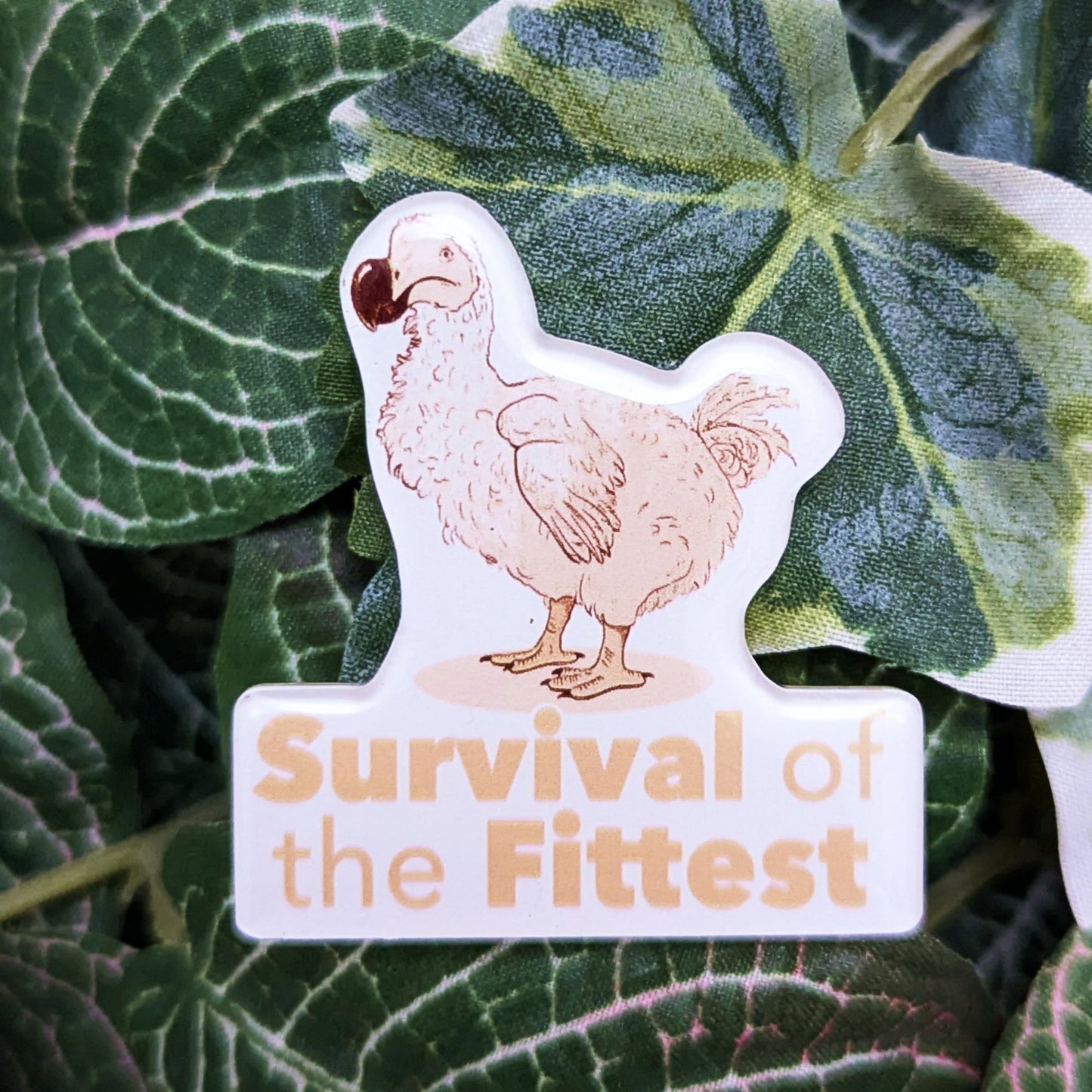 Dodo - Survival of the fittest | Pin