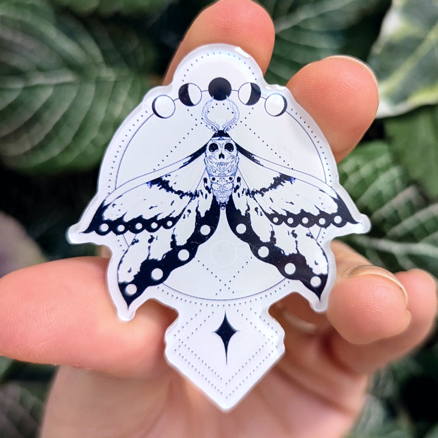 Lunar Moth | Pin