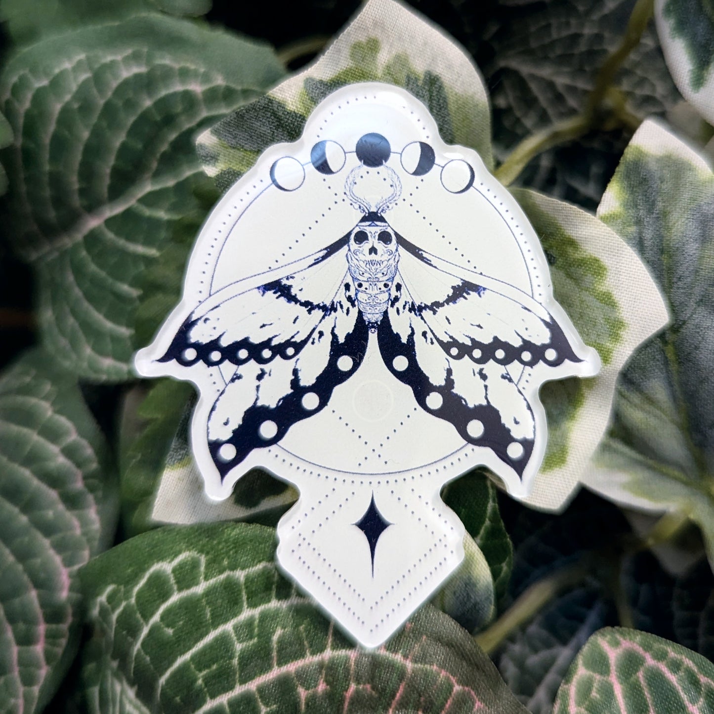 Lunar Moth | Pin