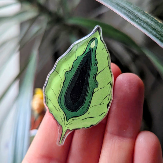 Vulva Blatt | Pin
