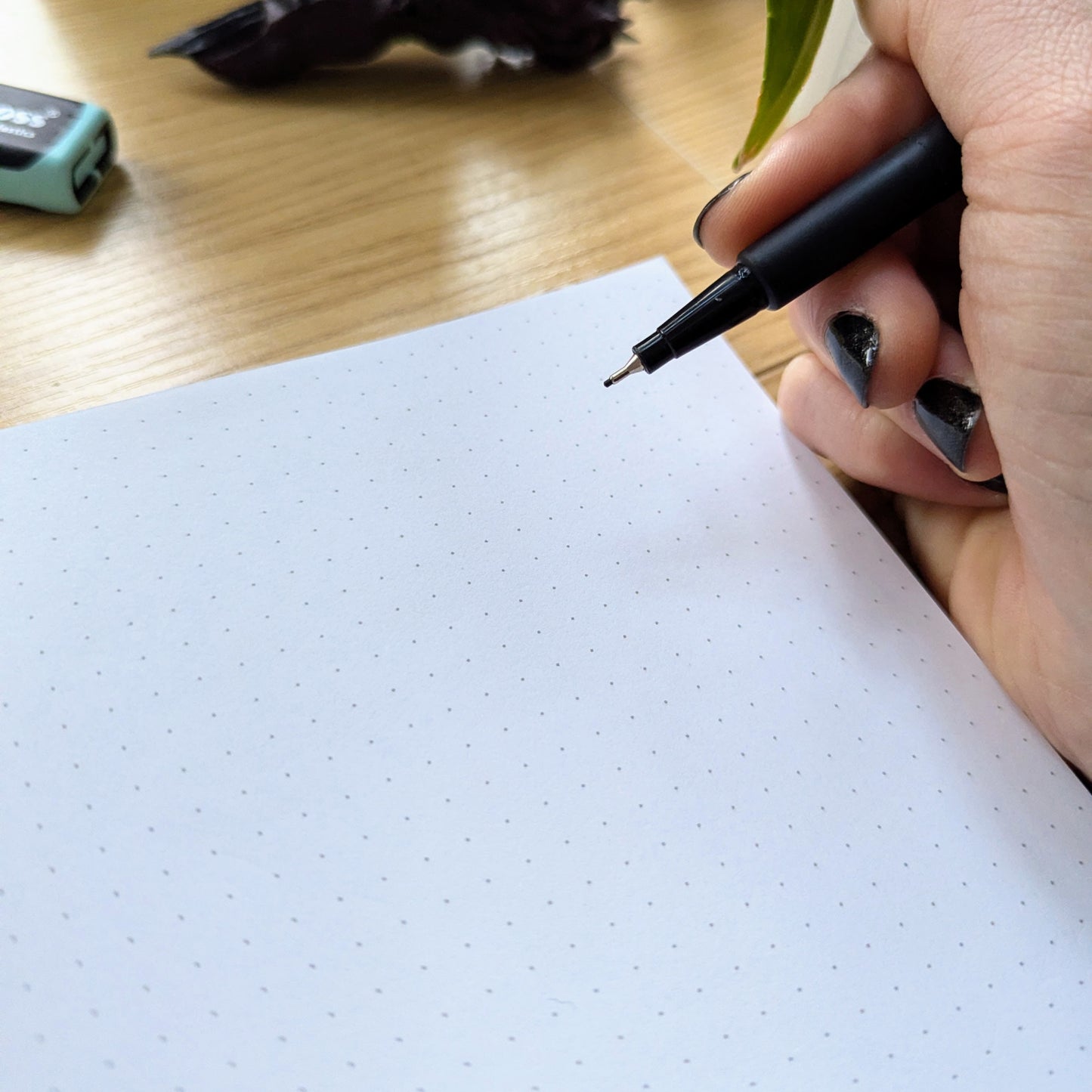 Medusa - Petrify the Patriarchy | Notizbuch